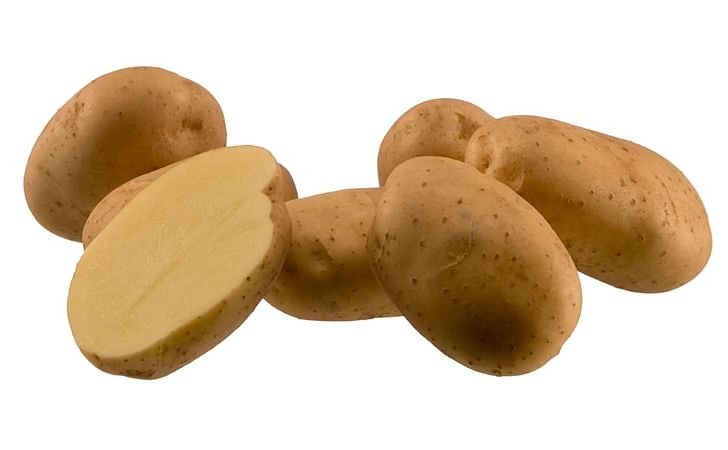 Markies Kartoffel Lieferant