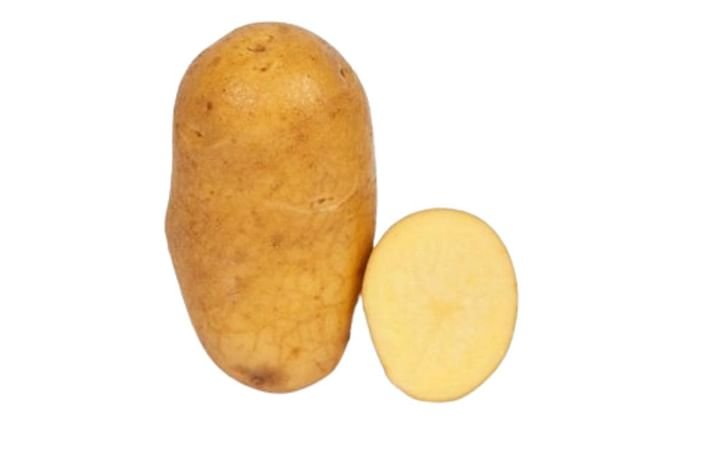 Sokrates Kartoffel Lieferant