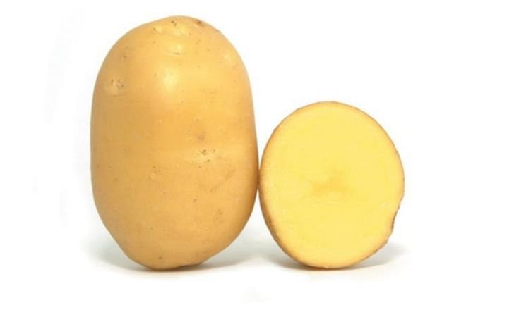 Tosca Kartoffel Lieferant